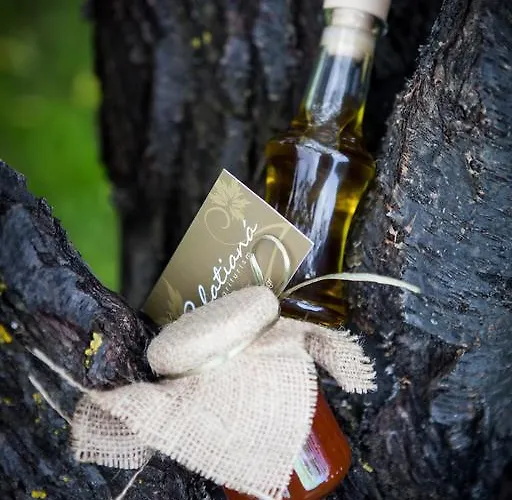 Διαμέρισμα 